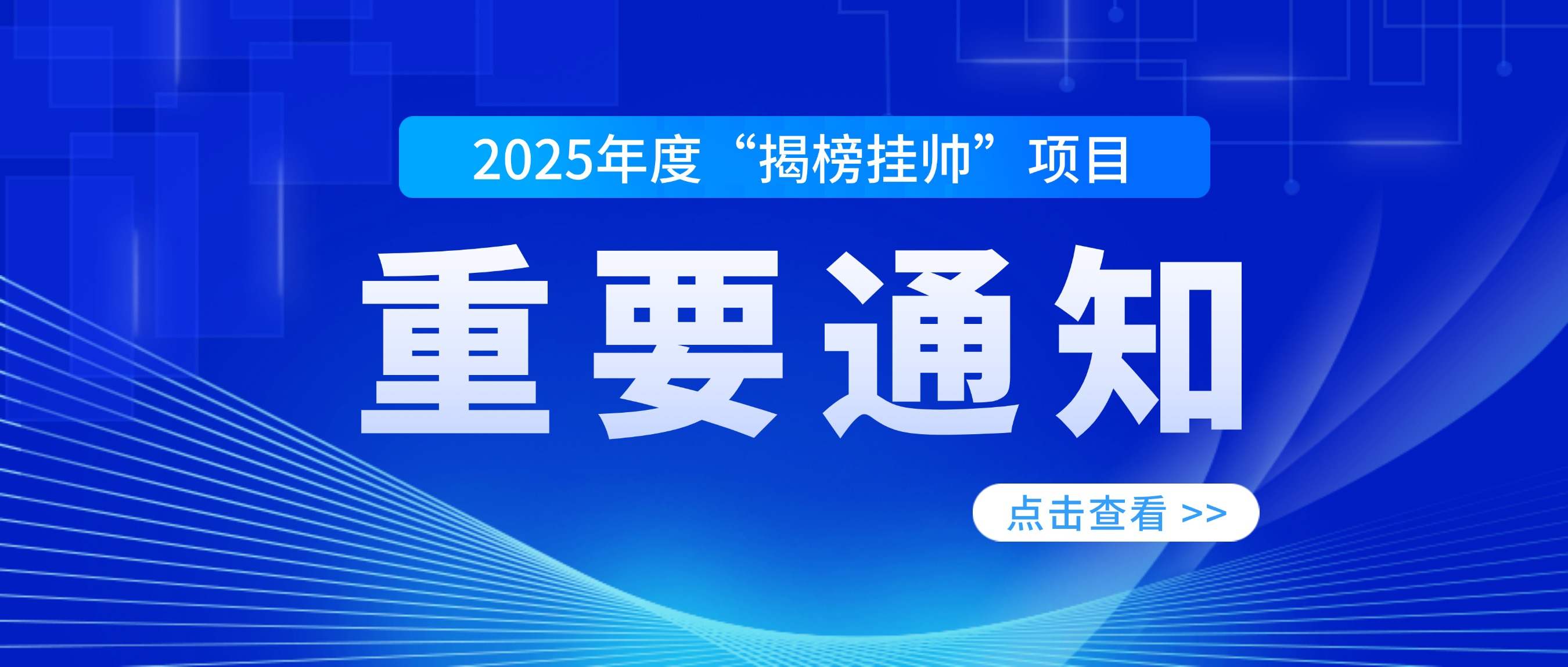 关于延长2025年度“揭榜挂帅”项目申报截止时间的通知